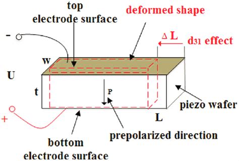 Schematic Of D31 Mode Of Piezoelectricity Download Scientific Diagram