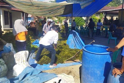 Begini Cara Poktan Sauduran Toba Atasi Kelangkaan Pupuk Kimia Harian