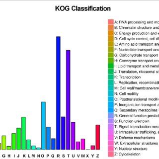 Eukaryotic Orthologous Group Kog Classification Of The Assembled