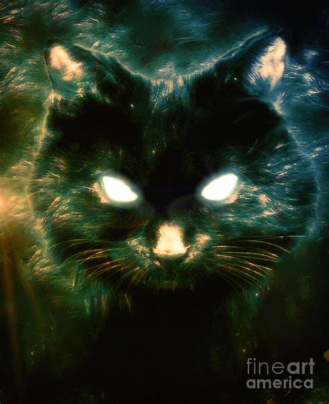 Astral Kitty Digital Art By Robert Radmore Fine Art America