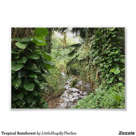 Tropical Rainforest Custom Posters Custom Framing Print Design Tool