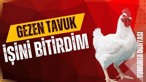 GEZEN TAVUK İSİNİ BIRAKTIM YouTube