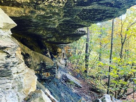 Old Stone Fort State Archaeological Park Manchester Tn R Tennesseenature