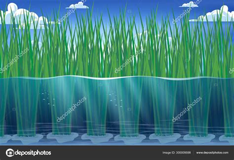 View Rice Plants Water Rice Fields Stock Vector by ©aekaek55555555 ...