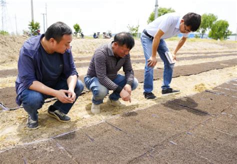 江苏如东：用良种、良技、良机“慧”出现代化农耕图南通网 南通新闻－资讯－生活首选门户