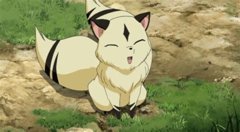 8 Adorable Anime Sidekicks Inuyasha Anime Kawaii Anime