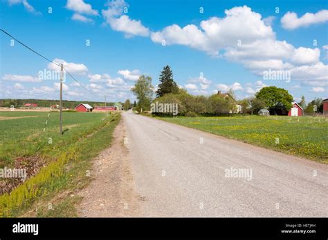 Country road in rural Finland. Sunny weather Stock Photo - Alamy