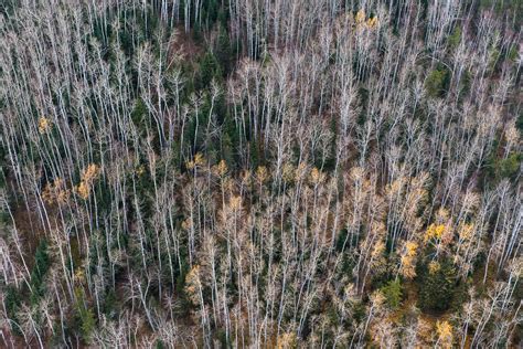 Aerial Photography Of Northern Ontarios Ring Of Fire Canadian Geographic