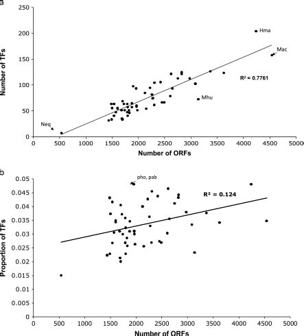 a) Distribution of TFs identified in 52 archaeal genomes. Nanoarchaeum... | Download Scientific ...