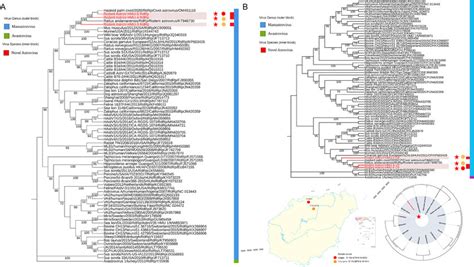 Phylogenetic Tree Of Astroviruses Astrovs A The Phylogenetic Tree Is