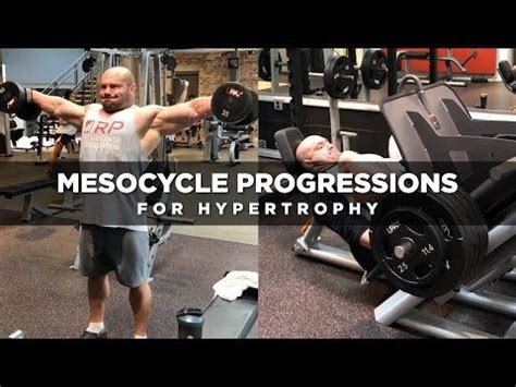 4665 Mesocycle Progressions For Hypertrophy Dr Mike Israetel