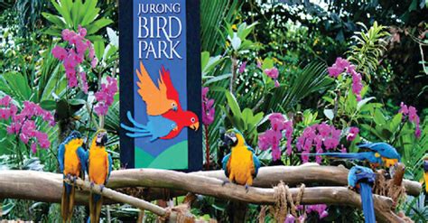 Jurong Bird Park | RMG Tours