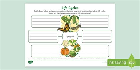 Life Cycles Mind Map L Enseignant A Fait Twinkl