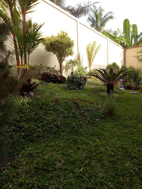 gambar taman sinox nursery