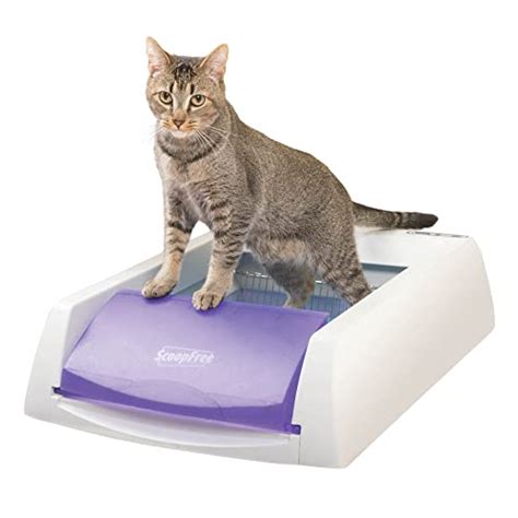 Caja De Arena Autom Tica Petsafe Scoopfree An Lisis