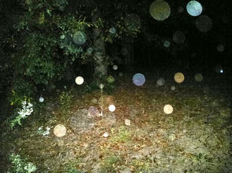 My Back Yard Orbs Spirit World Unusual Things Angel Art Orb