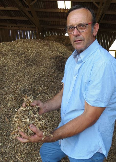 Bocage Transformer le bois bocager en litière pour les bovins et ovins