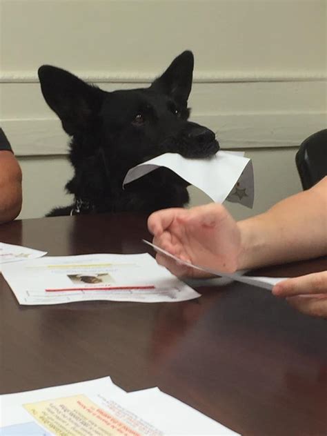 654 Best Edo Images On Pholder Artefact Porn Gintama And Ni Bondha