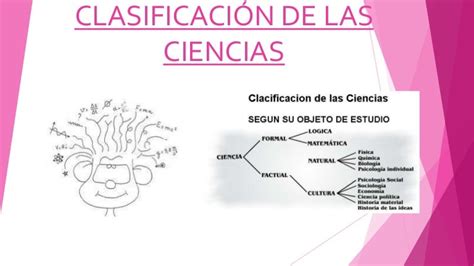 Clasificación De Las Ciencias