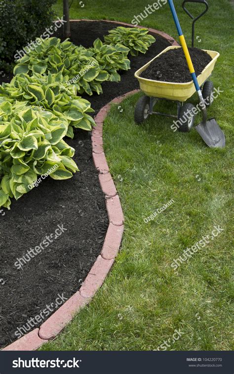 Mulching Bed Around Hostas Wheelbarrow Along Stock Photo 104220770