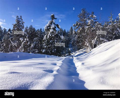 Freezing Temperatures Hi Res Stock Photography And Images Alamy