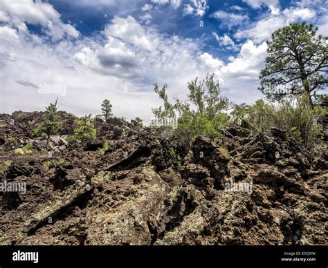 Sunset Crater Volcano National Monument lava flow, Arizona Stock Photo ...