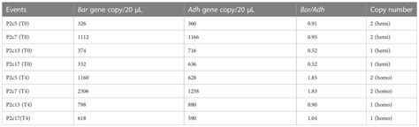 Frontiers Targeting The Aspergillus Flavus P2c Gene Through Host