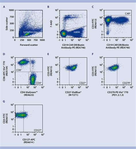 Flow Cytometry Immunophenotyping Car T Cell Proliferation Miltenyi