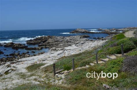 5 BEST Things About Asilomar State Beach