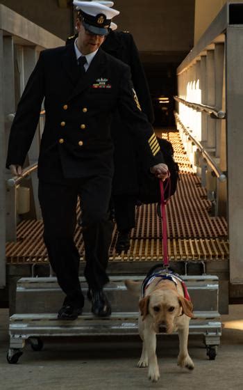 Uss Gerald R Ford Returns Home To Virginia After 8 Months At Sea In 1st Combat Deployment