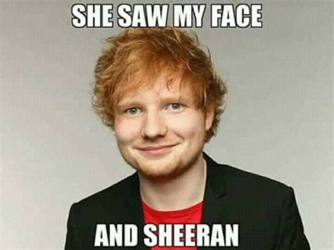 20 Ed Sheeran Memes With Cat