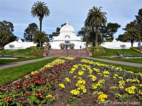 San Francisco Conservatory of Flowers: a Local's Guide