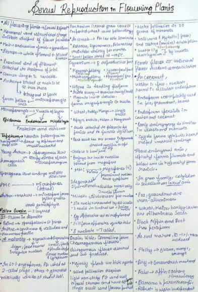 Short Notes Class 12 Biology Full Reproduction Unit