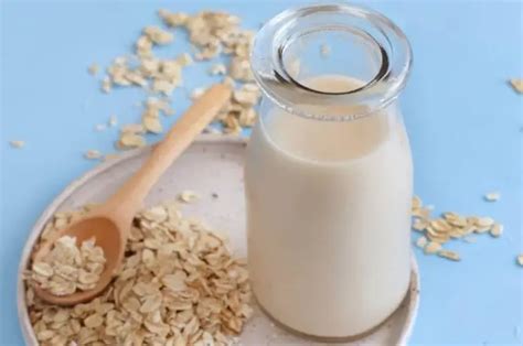 Se Puede Congelar La Leche De Avena Solococinar