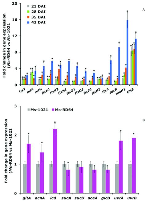 The Expression Of Genes Involved In Nitrogen Fixation Energy