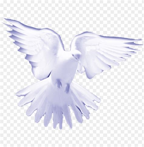 Download White Birds On Heaven Png Free Png Images Toppng