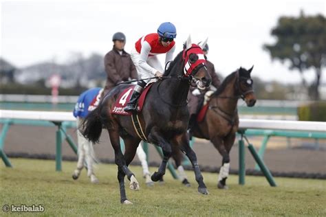 ショウナンバシット Shonan Bashitto 競走馬データベース 競馬ラボ