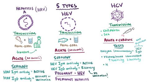 Overview Of Acute Viral Hepatitis Overview Of Acute Viral Hepatitis