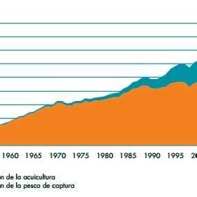 Representaci N Gr Fica De La Producci N Pesquera Y La Acuicultura Desde