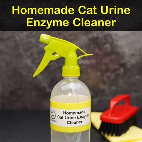 7 Easy Homemade Enzyme Cleaners For Cat Urine