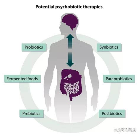 微生物 肠道 脑轴：新的治疗机会 知乎