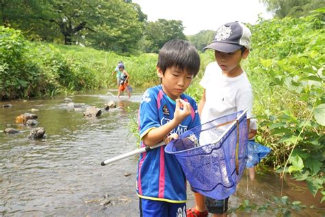 なるほど豆知識vol63「川遊びを楽しもう！」 伊勢屋商店