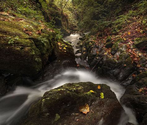 Cascada Arroyo Ambiente Oto O Fluir Bosque Paisaje Hojas Piqsels