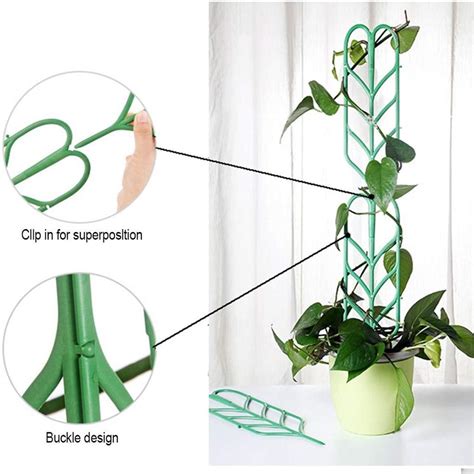 6pcs Potted Plant Support Stakes Indoor Plant Trellis Fits For Climbing Plants Ebay