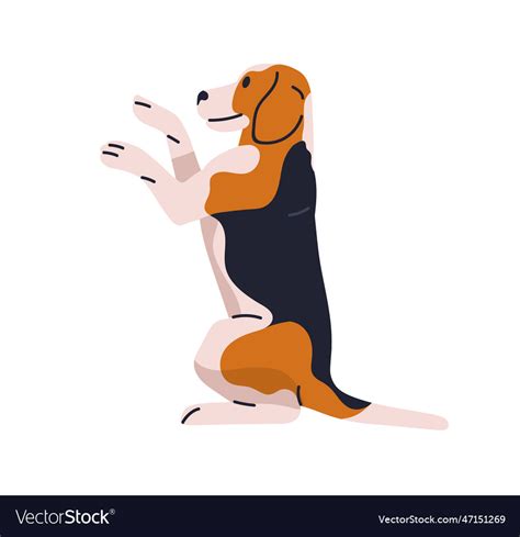 trained obedient dog  beagle breed sitting vector image