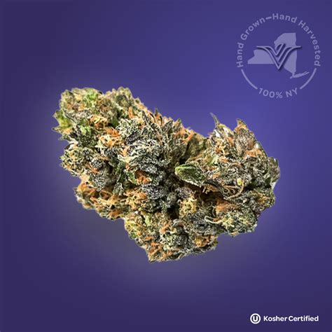 Blueberry Strain Profile And Information Vireo Health