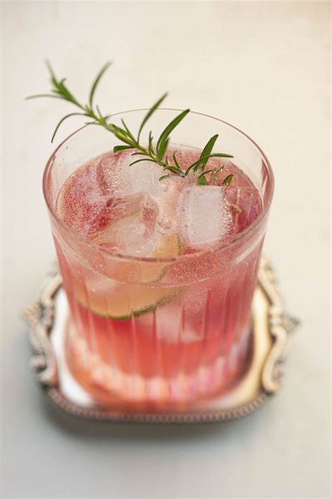 Gin Tonic Aux Canneberges Jos E Di Stasio Rezept Coktail