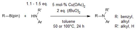 Di Tert Butyl Peroxide DTBP