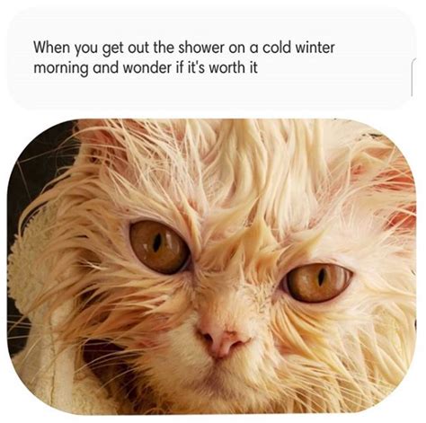 19 Memes That Describe What It's Like to Always Be Cold