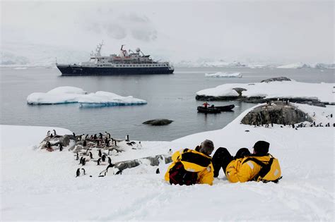 Meet Antarctic Wildlife in 360° VR